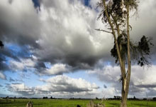 开云体育下载-多特蒙德险胜切尔西3:3，格列兹曼帽子戏法中超